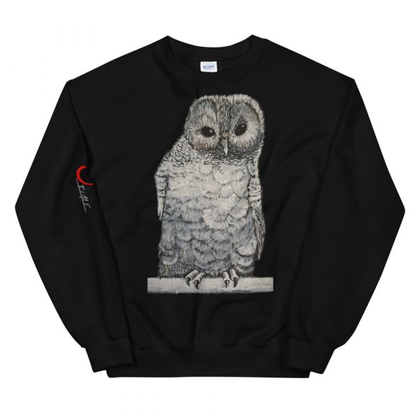 Owl Sweatshirt