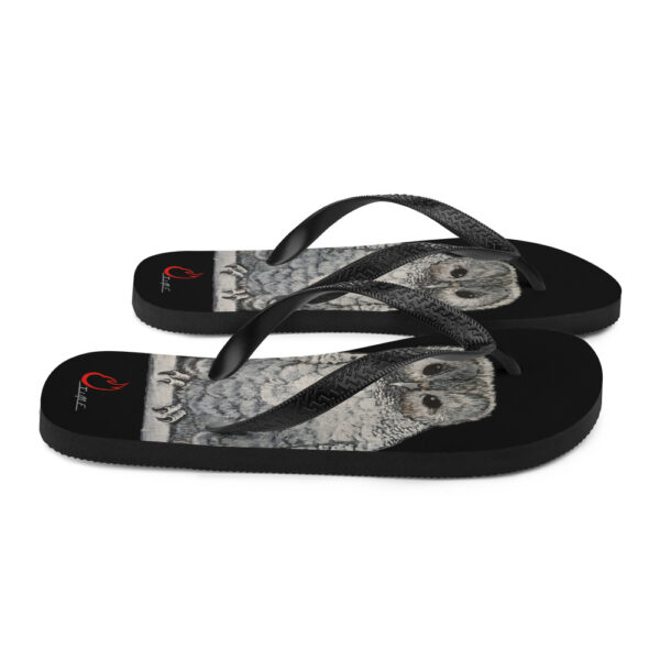 Owl, Flip-Flops - Image 7