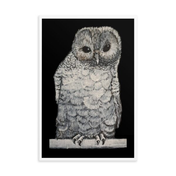 Owl, Framed poster - Image 4