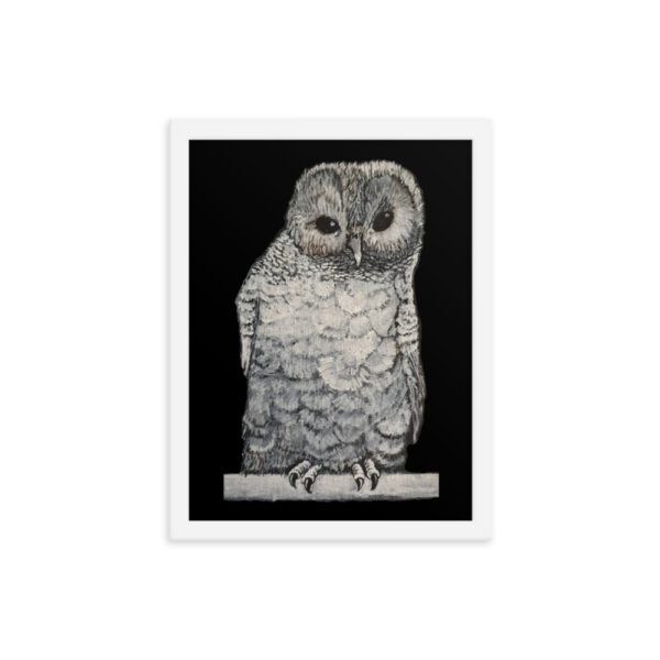 Owl, Framed poster - Image 2