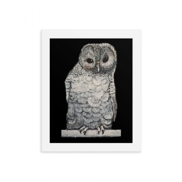 Owl, Framed poster