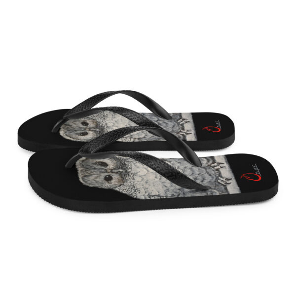 Owl, Flip-Flops - Image 6